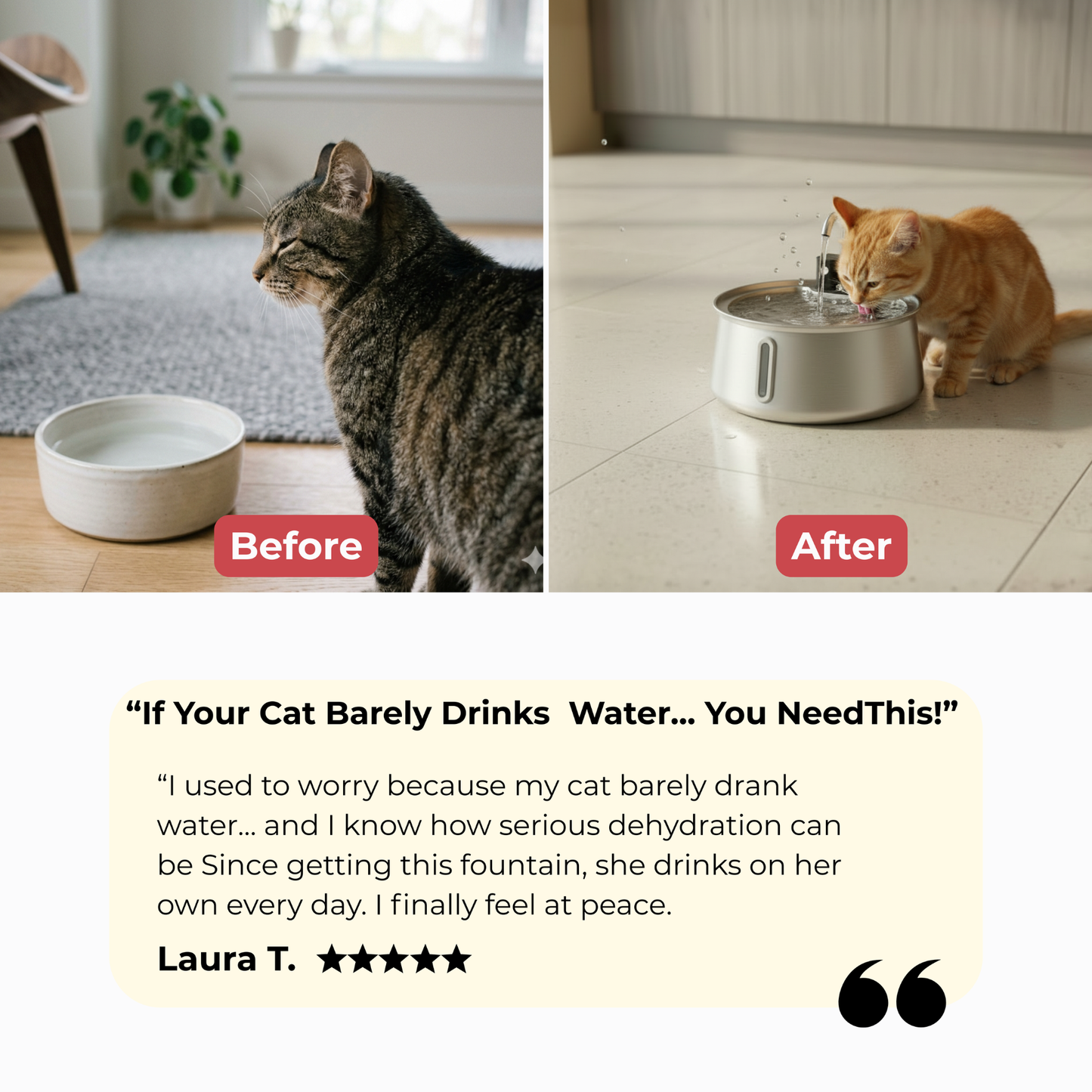 PawHydra™ Wireless Fountain