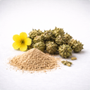 Tribulus