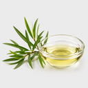 Tea Tree Oil