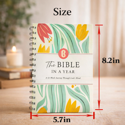 The Bible Study Journey