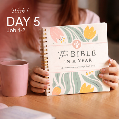 The Bible Study Journey