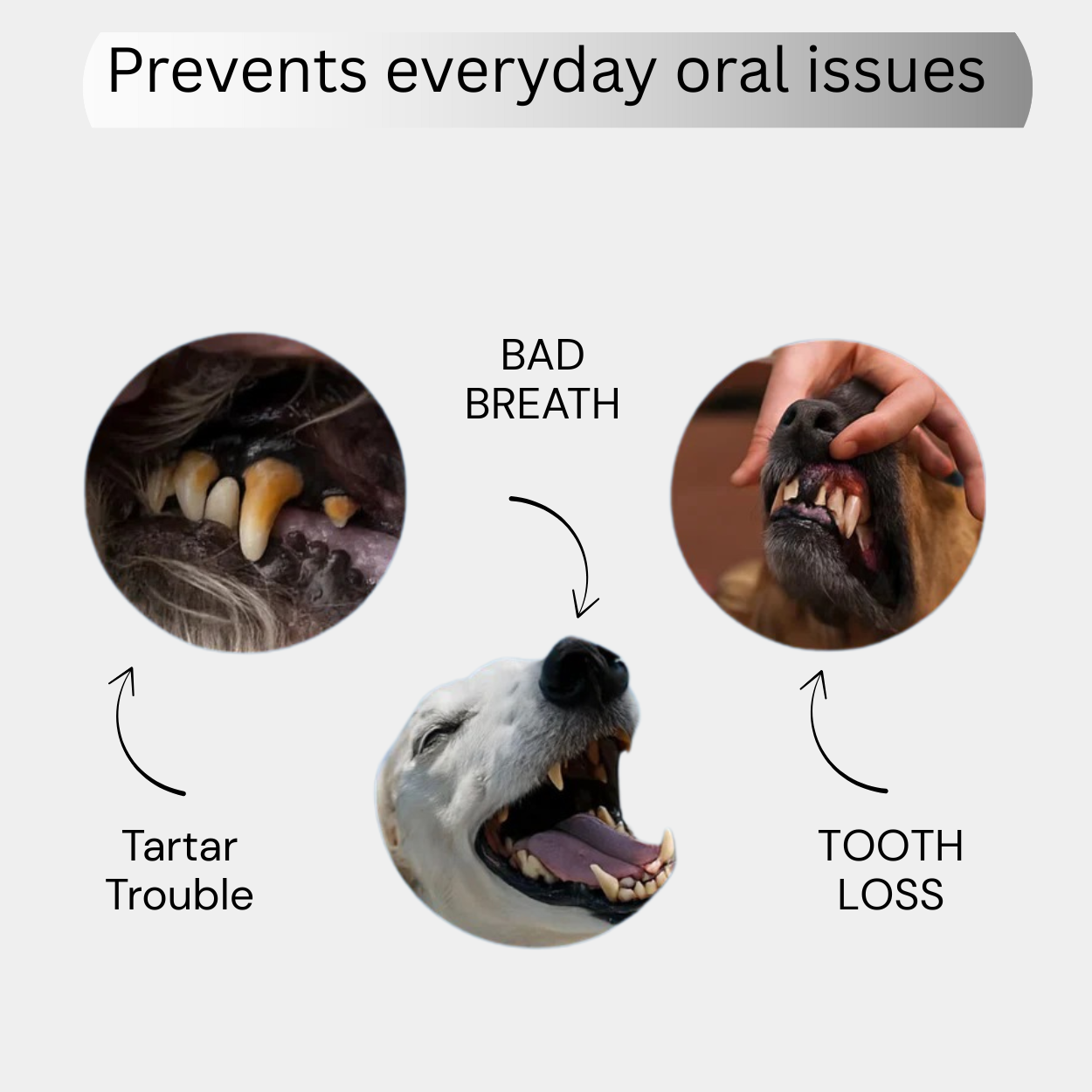 Fresh Breath Paw Wipes™