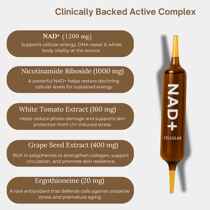 Aluxe Advanced Liquid NAD+