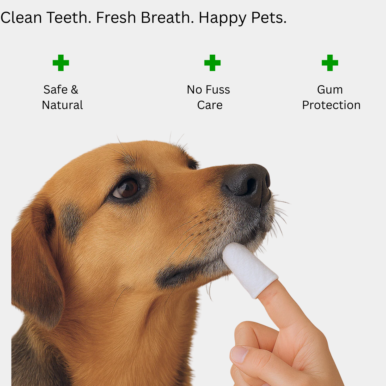 Fresh Breath Paw Wipes™