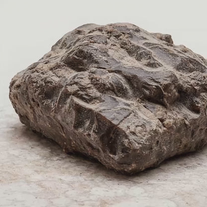 Vitality Shilajit Gummies